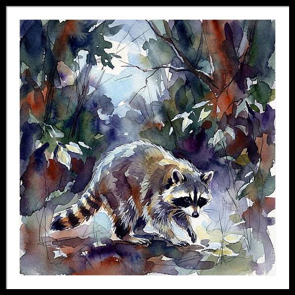 Raccoon In The Woods