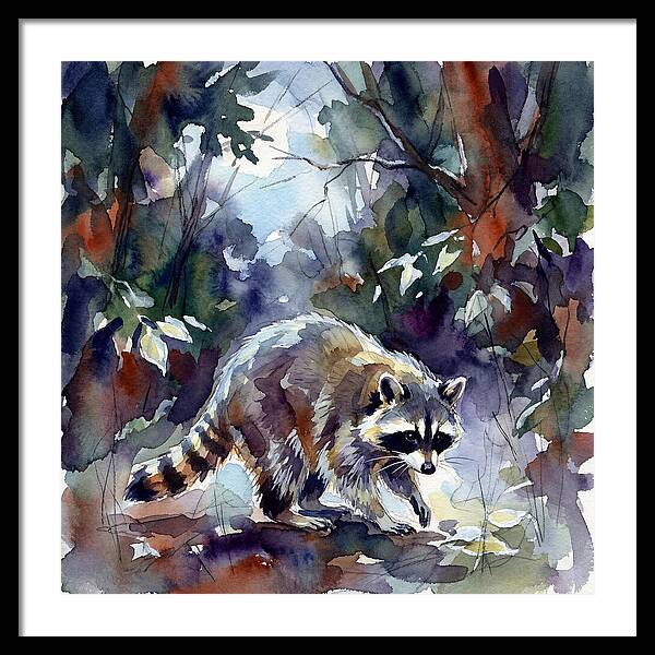 Raccoon In The Woods