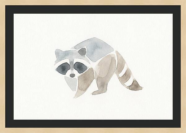 Raccoon In Watercolor Style