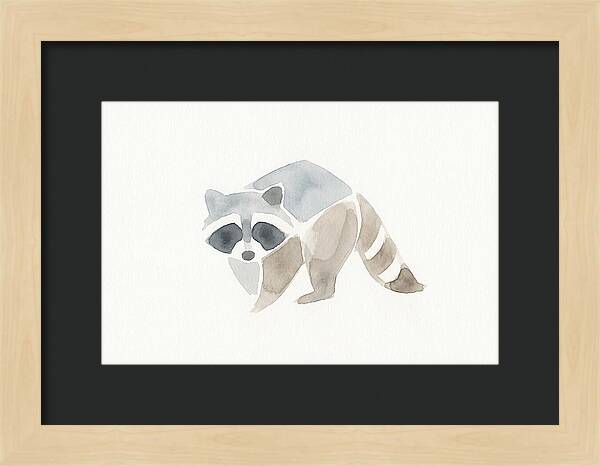 Raccoon In Watercolor Style