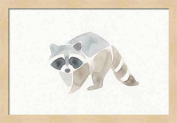 Raccoon In Watercolor Style