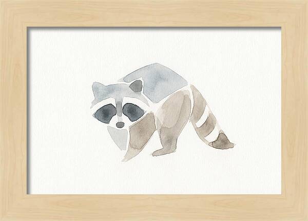 Raccoon In Watercolor Style