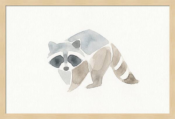Raccoon In Watercolor Style