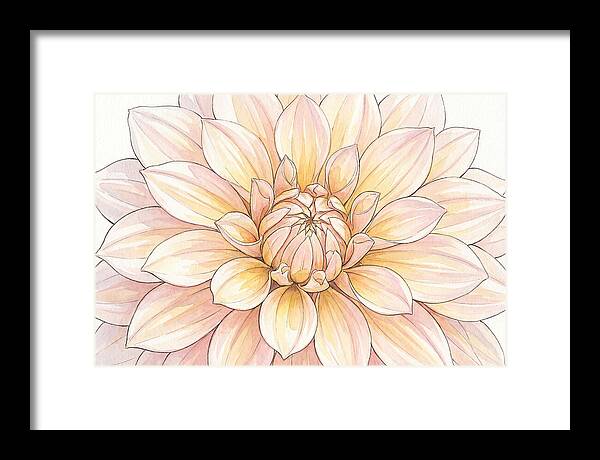 Radiant Dahlia Elegance
