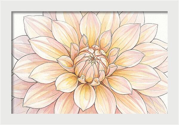 Radiant Dahlia Elegance