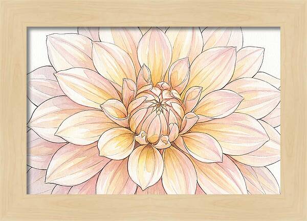Radiant Dahlia Elegance
