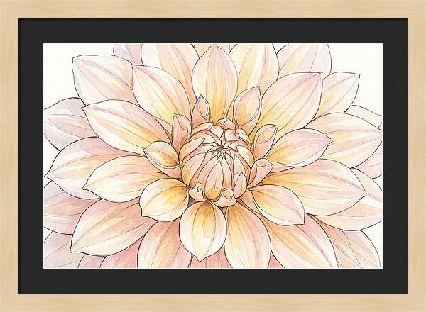 Radiant Dahlia Elegance