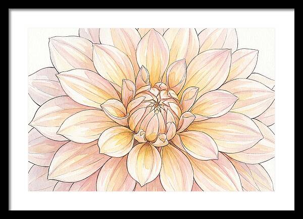 Radiant Dahlia Elegance