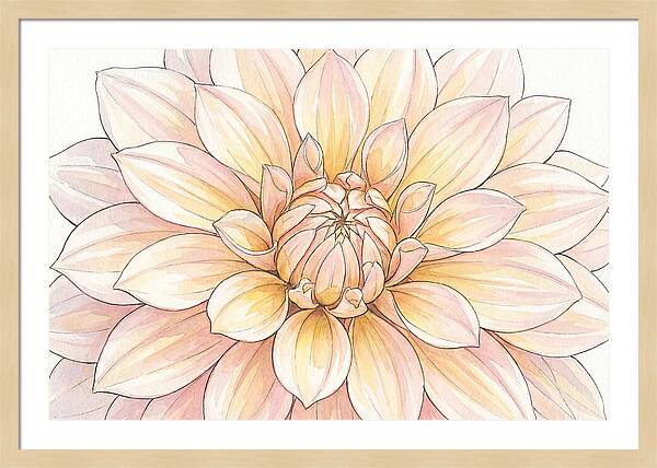 Radiant Dahlia Elegance