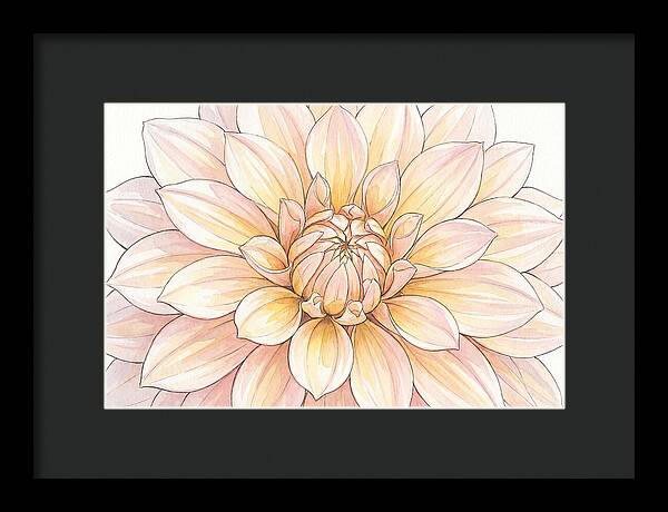 Radiant Dahlia Elegance
