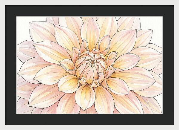 Radiant Dahlia Elegance