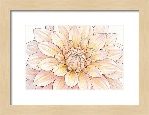 Radiant Dahlia Elegance