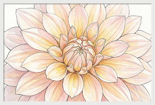 Radiant Dahlia Elegance