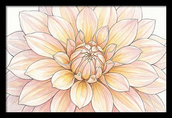 Radiant Dahlia Elegance
