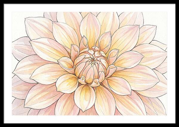 Radiant Dahlia Elegance