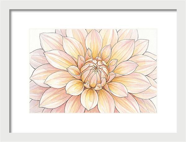 Radiant Dahlia Elegance