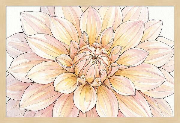 Radiant Dahlia Elegance