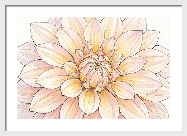 Radiant Dahlia Elegance
