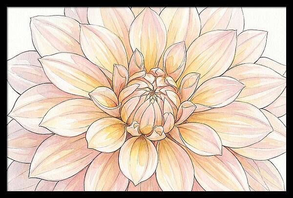 Radiant Dahlia Elegance