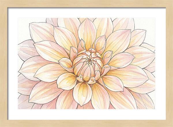 Radiant Dahlia Elegance