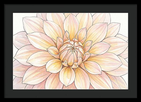 Radiant Dahlia Elegance
