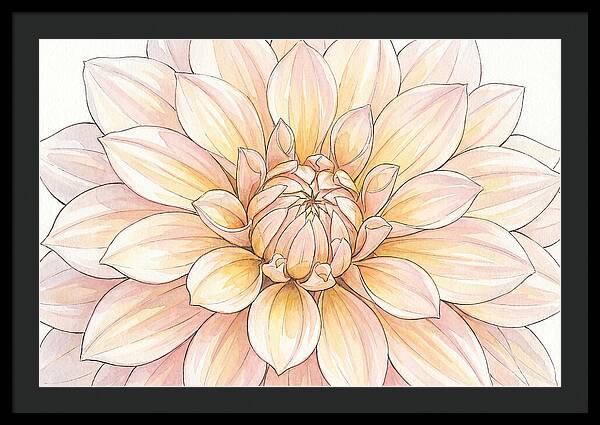 Radiant Dahlia Elegance