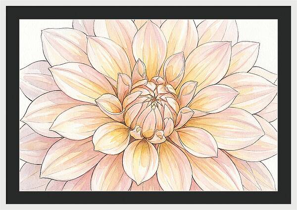Radiant Dahlia Elegance