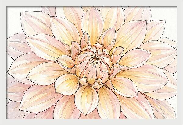 Radiant Dahlia Elegance