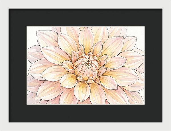 Radiant Dahlia Elegance