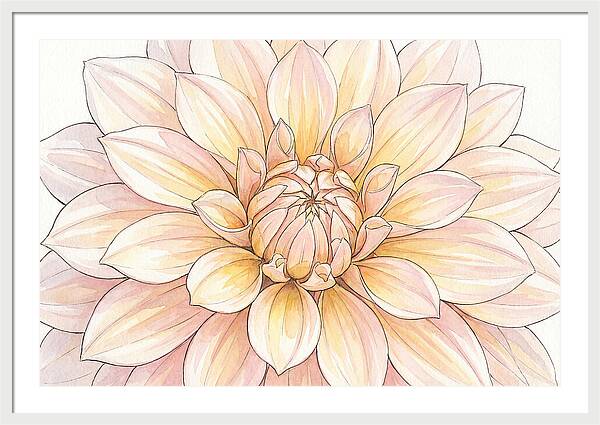 Radiant Dahlia Elegance