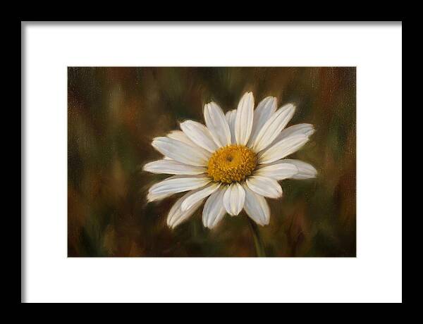 Radiant White Daisy Blossom