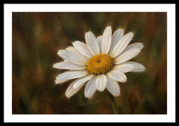 Radiant White Daisy Blossom