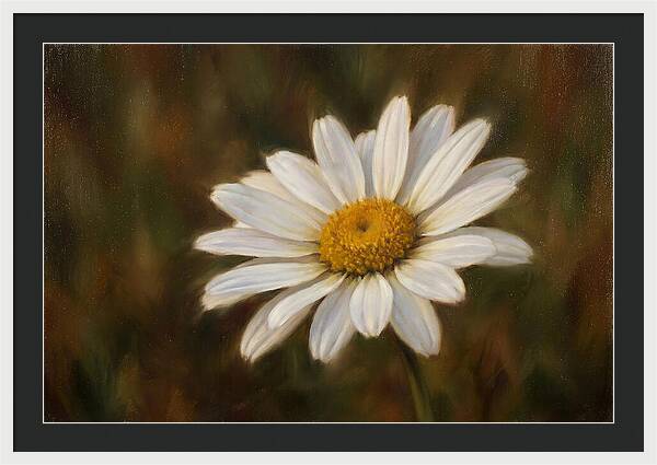 Radiant White Daisy Blossom