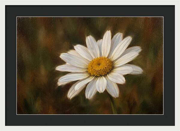 Radiant White Daisy Blossom