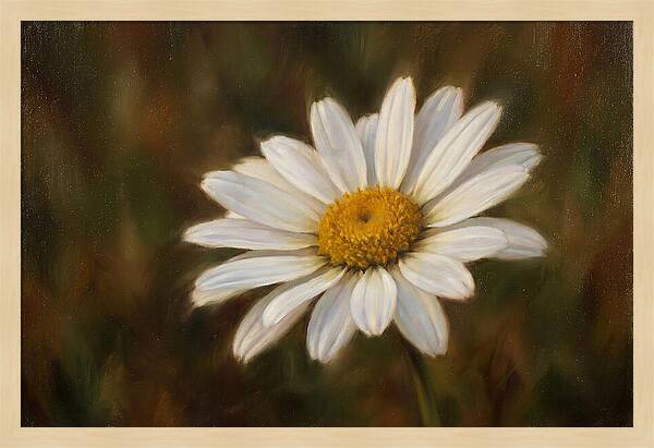 Radiant White Daisy Blossom