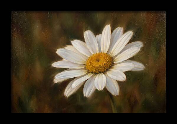 Radiant White Daisy Blossom