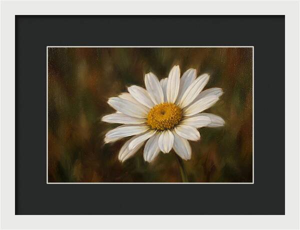 Radiant White Daisy Blossom