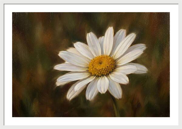 Radiant White Daisy Blossom