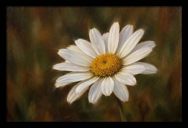 Radiant White Daisy Blossom