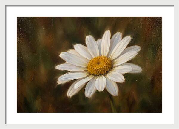 Radiant White Daisy Blossom