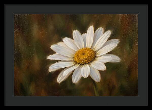 Radiant White Daisy Blossom