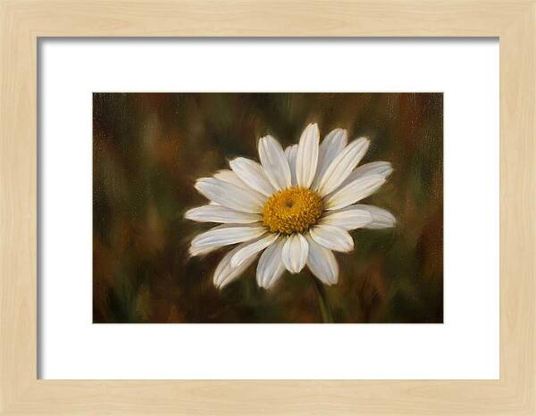 Radiant White Daisy Blossom