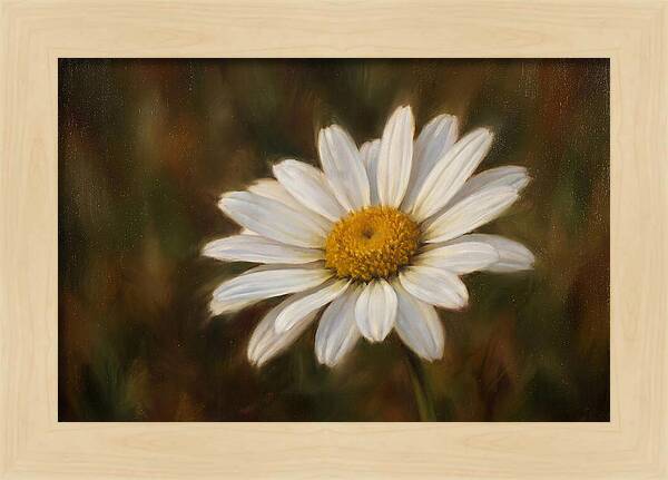 Radiant White Daisy Blossom
