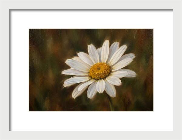 Radiant White Daisy Blossom