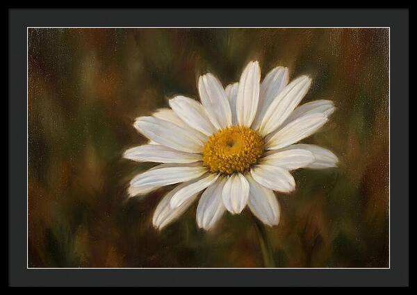 Radiant White Daisy Blossom