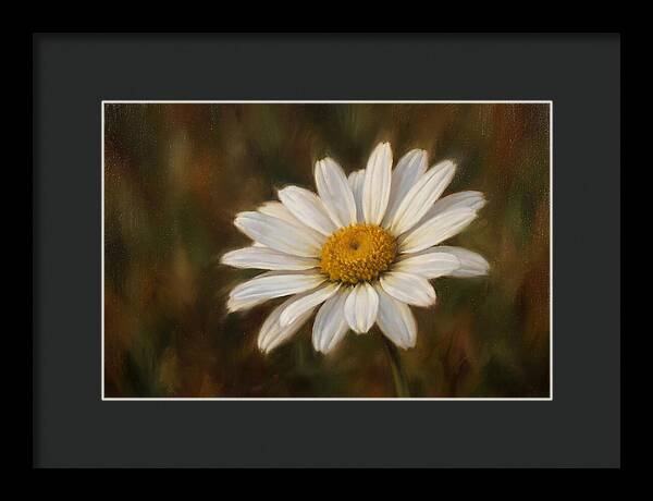 Radiant White Daisy Blossom