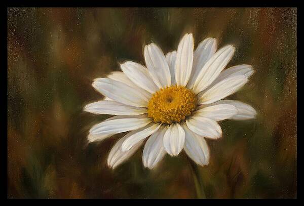 Radiant White Daisy Blossom