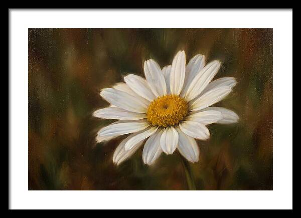 Radiant White Daisy Blossom
