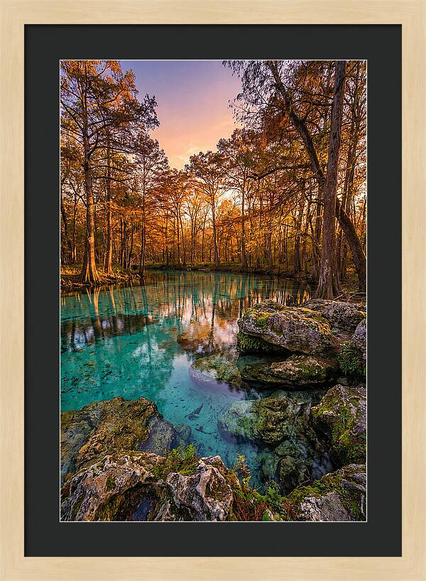 Radium Springs Serenity
