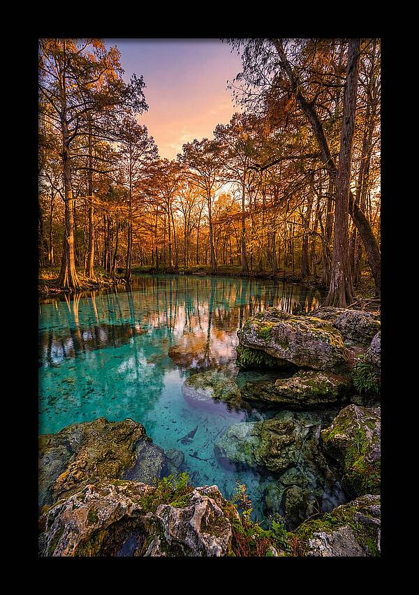 Radium Springs Serenity